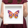 Obrazek – Kolorowy motyl