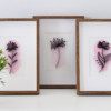 Kolekcja - Minimalistyczne kwiaty